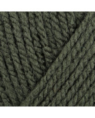 FILATO MEZ ACRILICO (1 GOM X 50 G.) P8347 LODEN
