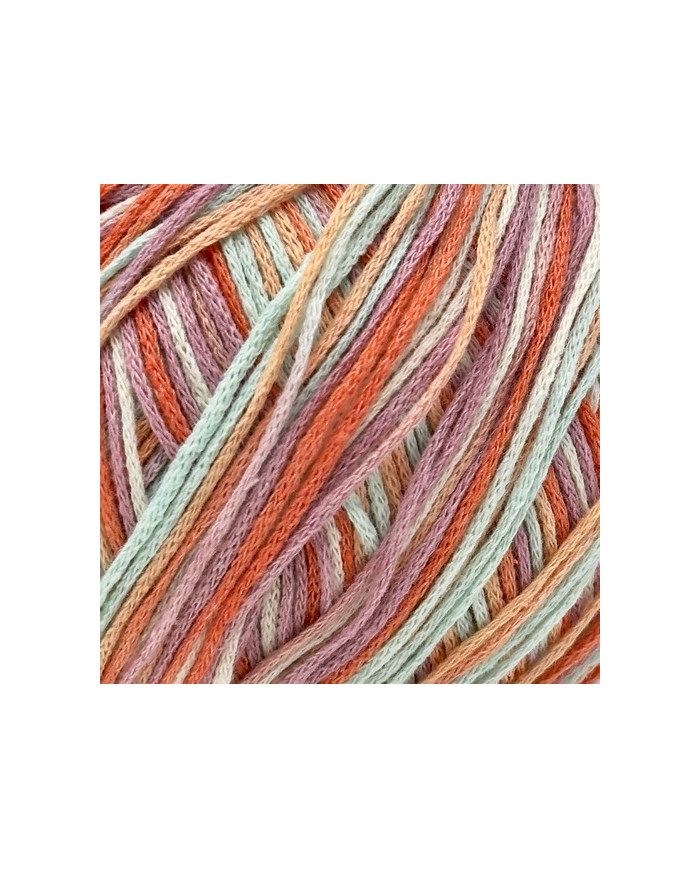DMC ECO VITA (100 GR) MM 3 MULTICOLOR 603