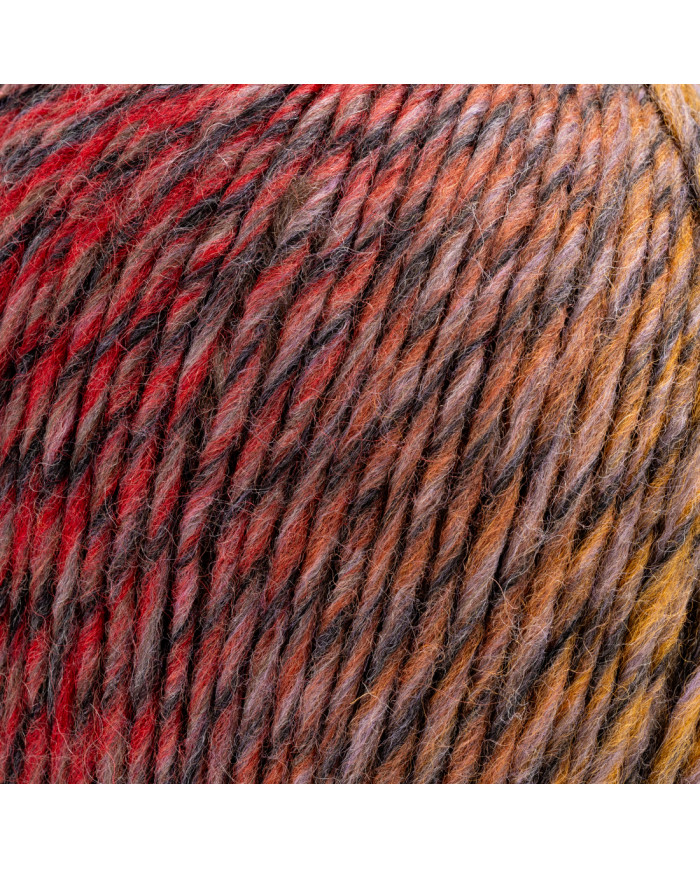 GAUCHO BERTAGNA FILATI 323