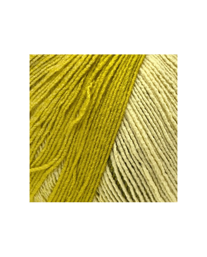 FILATO PIROUETTE OMBRE DMC 400 GR COL 107