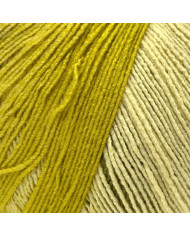 FILATO PIROUETTE OMBRE DMC 400 GR COL 107