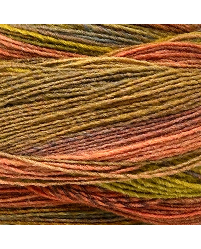 GOMITOLO INTENSO LANA GROSSA (200 G) COL 244