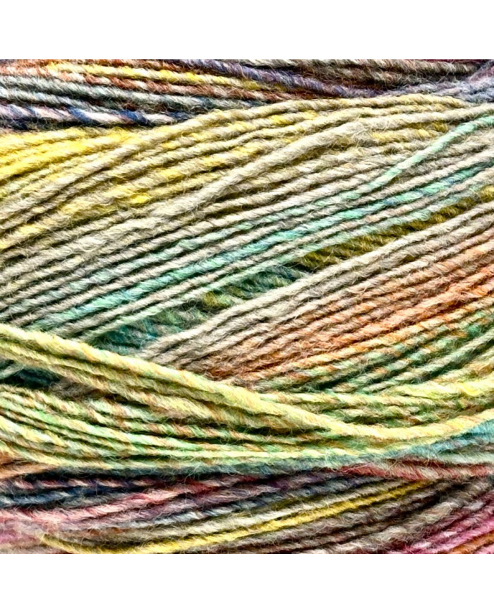 GOMITOLO INTENSO LANA GROSSA (200 G) COL 243